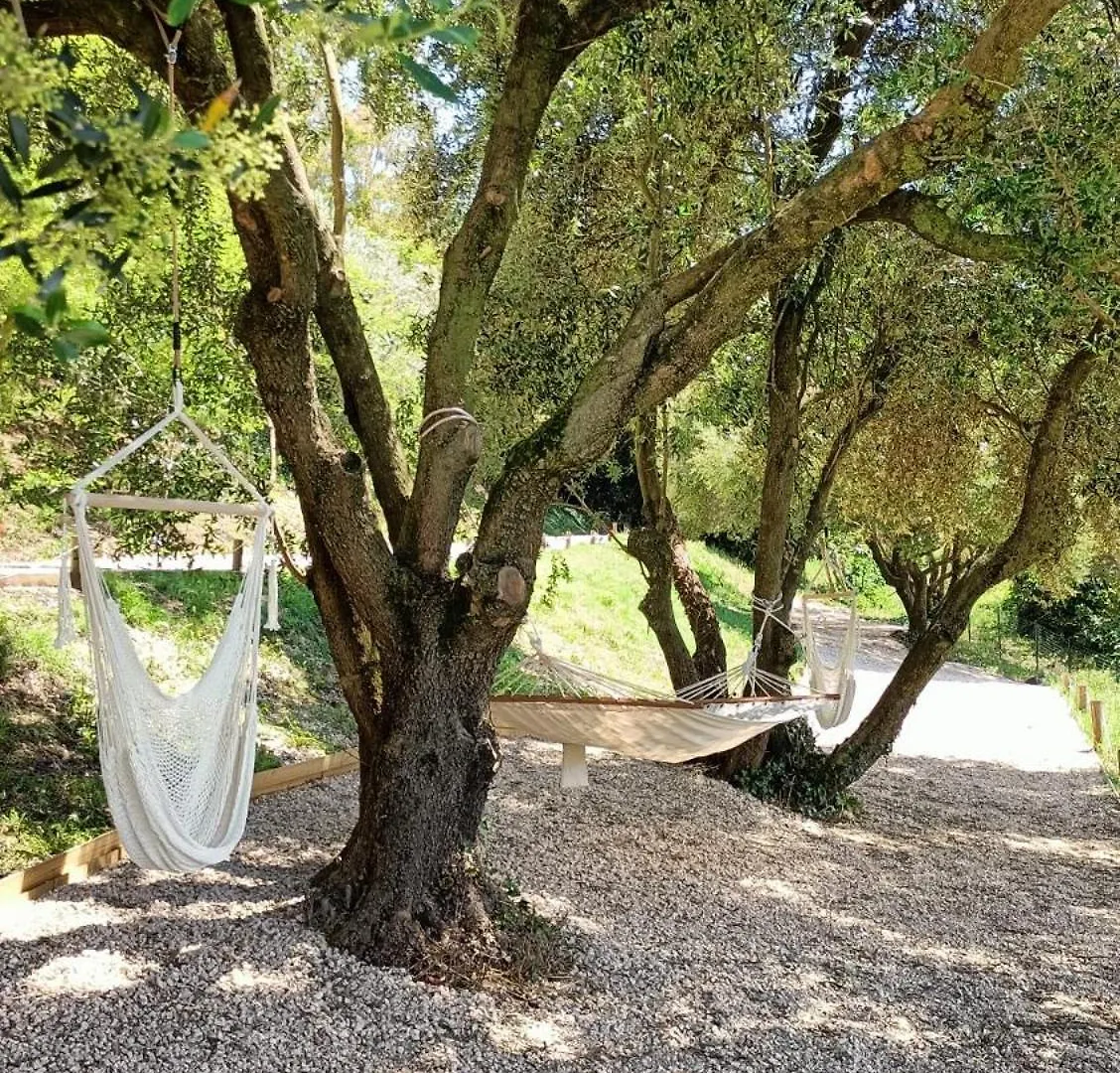 Tuffudesu Bed & Breakfast Osilo